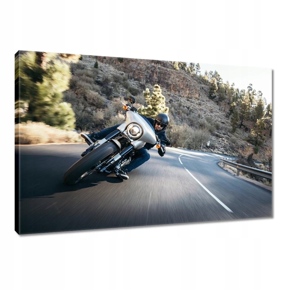 

Obrazy 90x60 Harley Davidson Motocykl