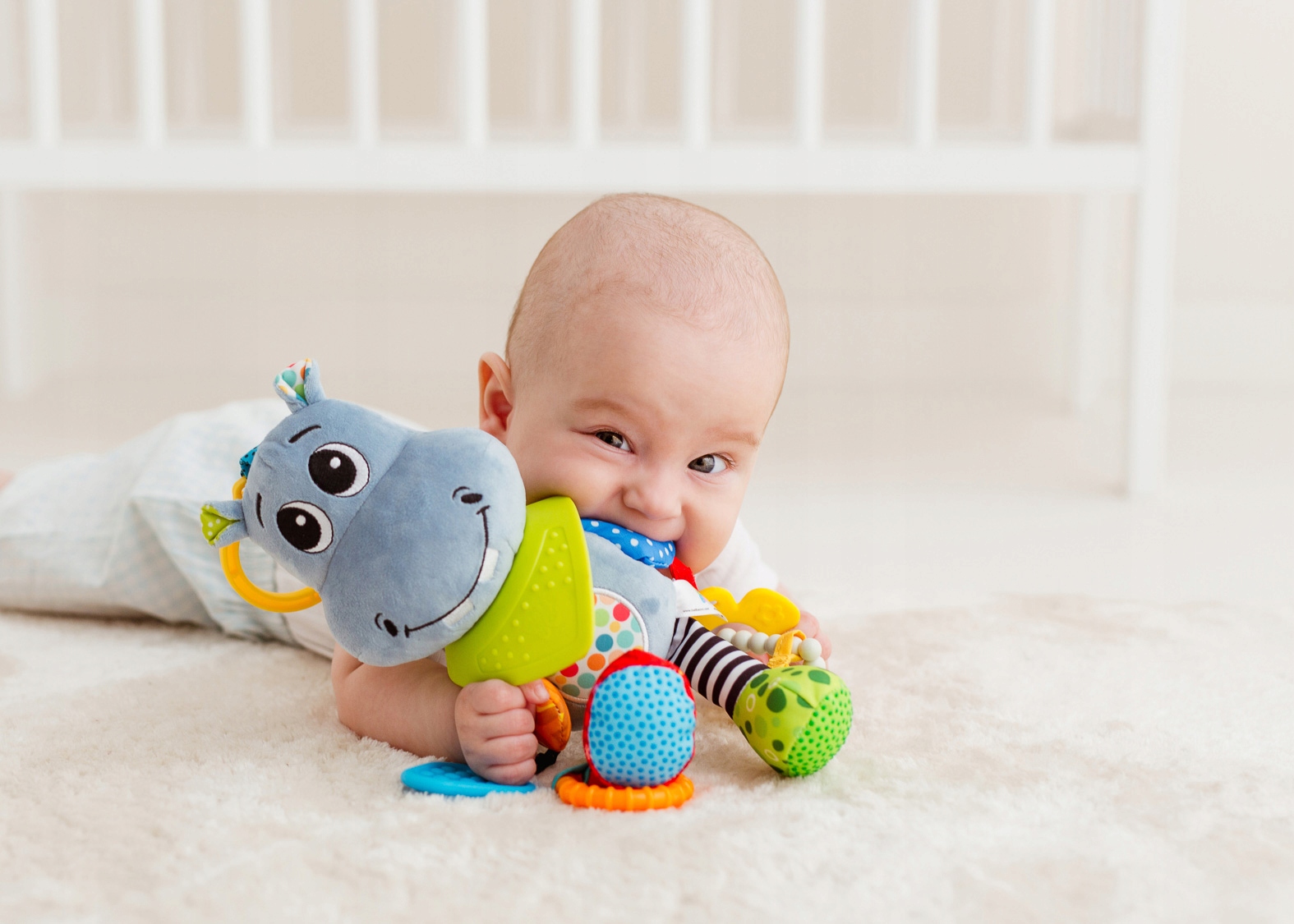 BALIBAZOO HIPCIO HIPOLIT ZAWIESZKA GRYZAK GRZECHOT Płeć chłopcy dziewczynki