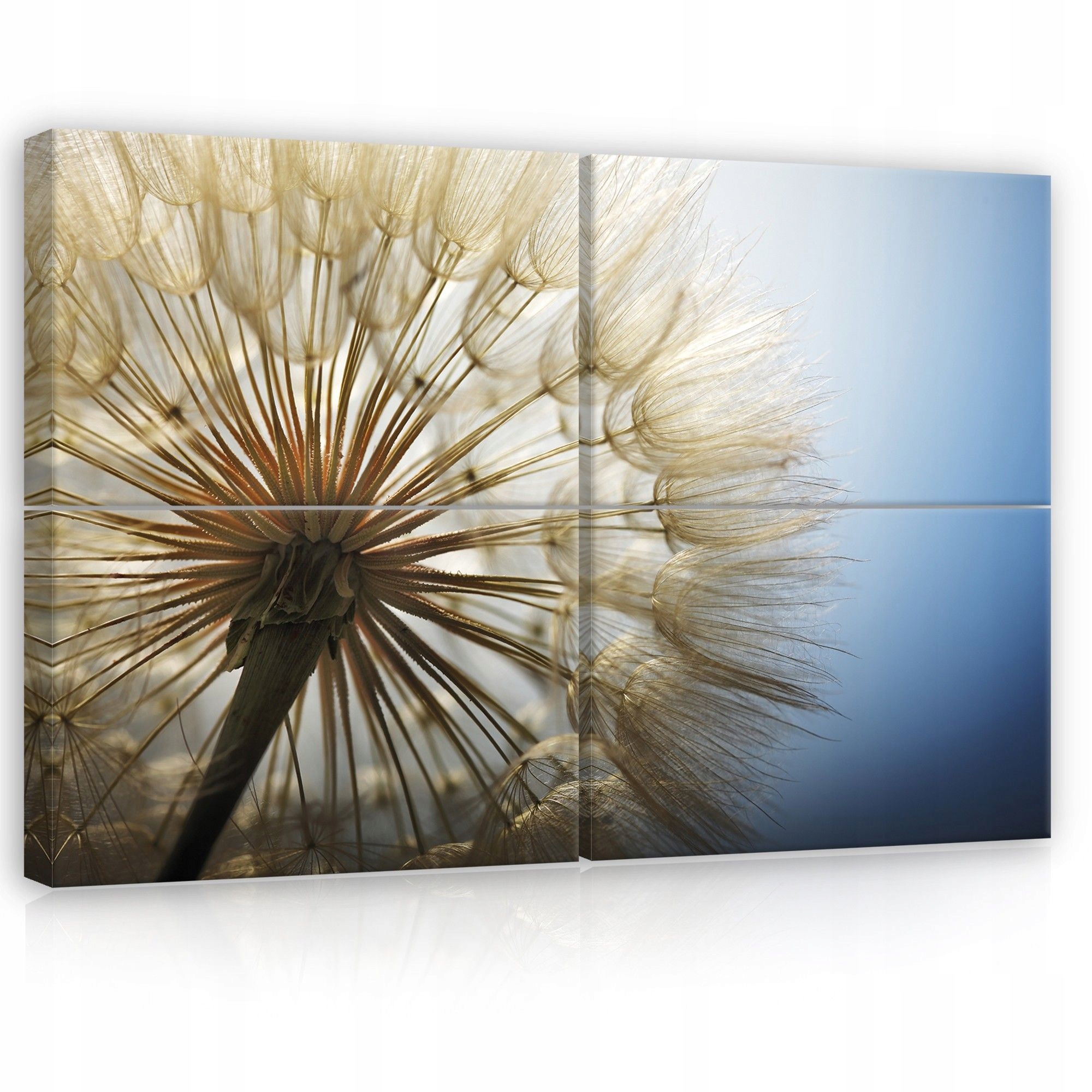 Obraz 120x80 Púpava lekárska semená páperie ľahkosť príroda pokoj spánok