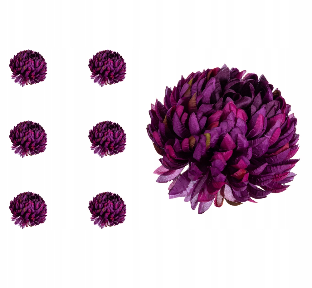 

Chryzantema ananas purpurowo fioletowa 6 sztuk