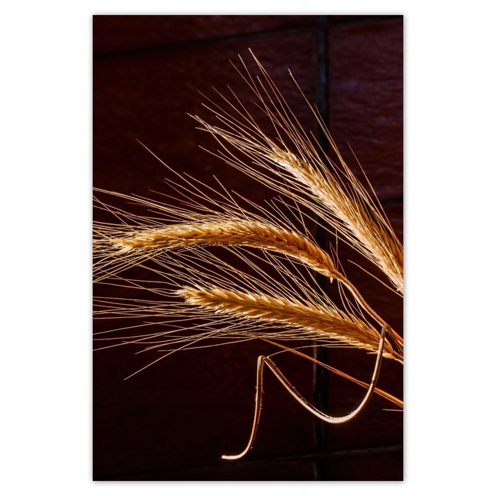 

Plakat 62x93 Pełne kłosy