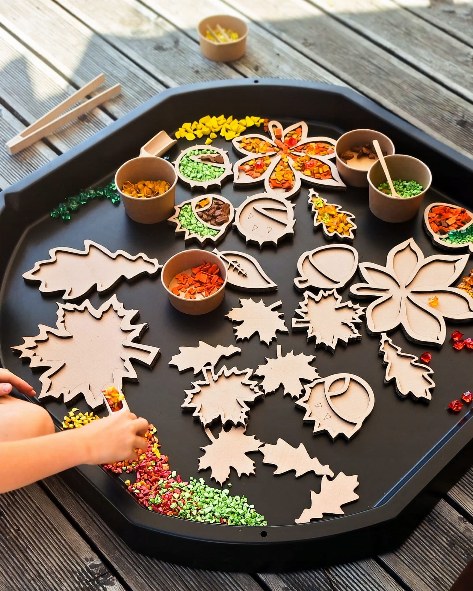 Sensokartony Zestaw Jesienny XXL Marka inna