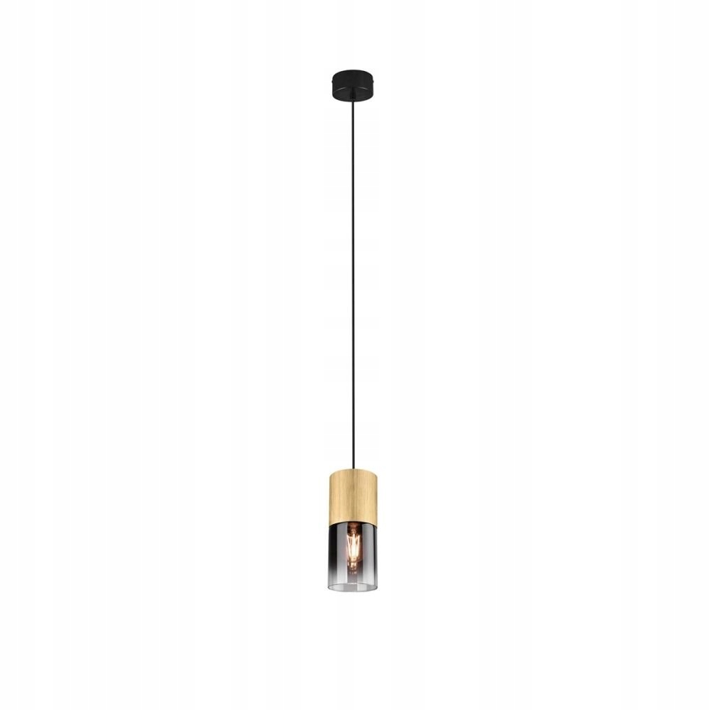 Závěsná lampa Trio Robin 310600154