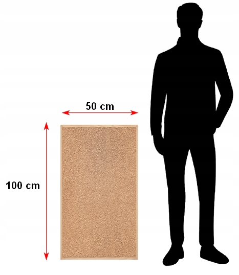 wąska tablica korkowa 50 x 100 cm EAN (GTIN) 8425901610509