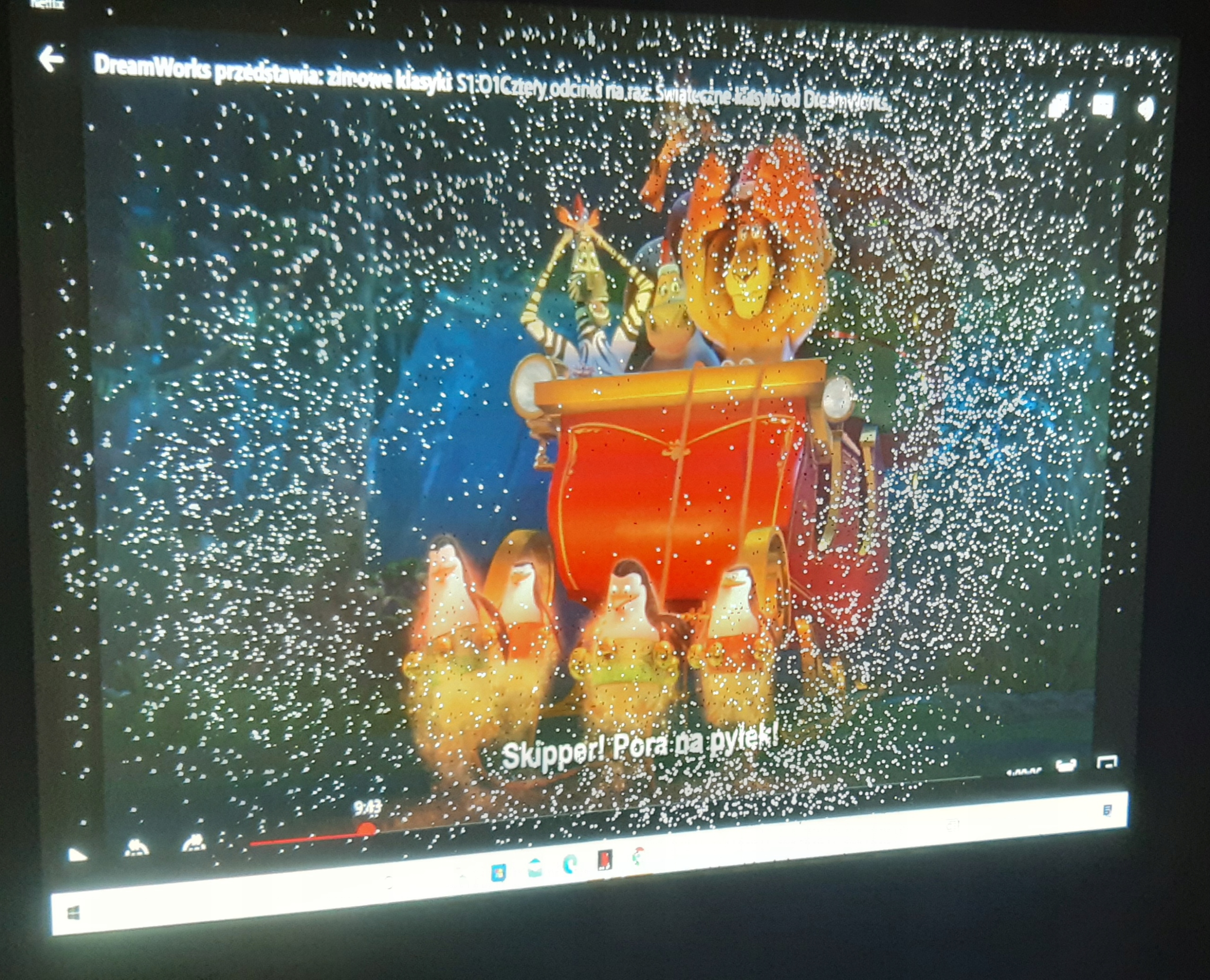 NEC NP115 OPIS! Model NP115