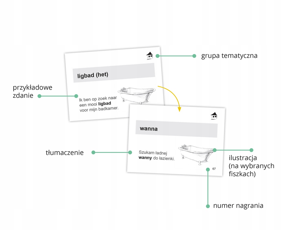 Fiszki PLUS. Niderlandzki dla początkujących A0-A1 ISBN 9788366949461