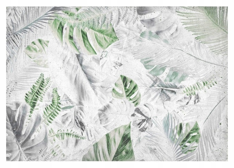 Fototapeta Listy Monstera Moderná 520x318