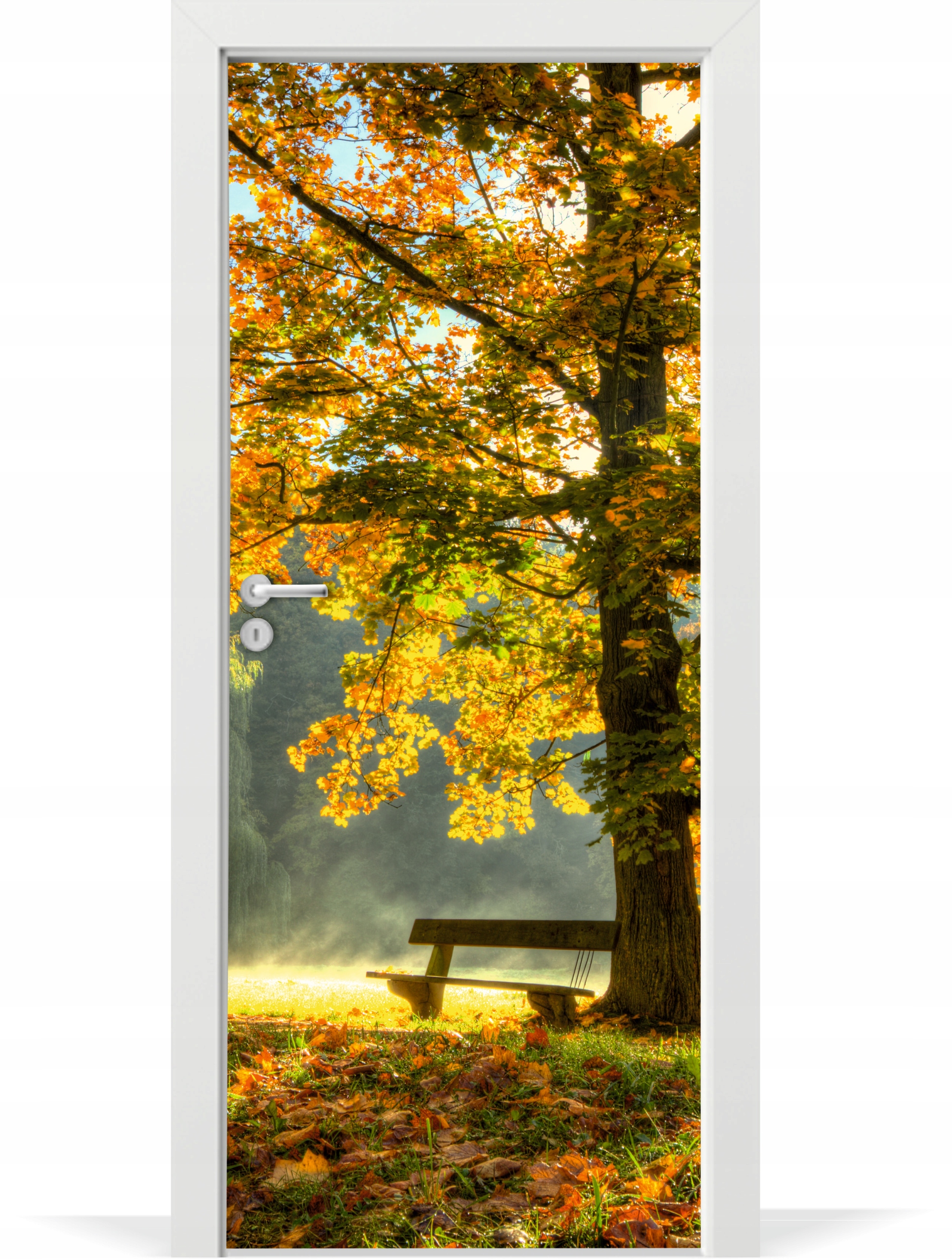 

Folia fototapeta na drzwi Park jesień ławka liście