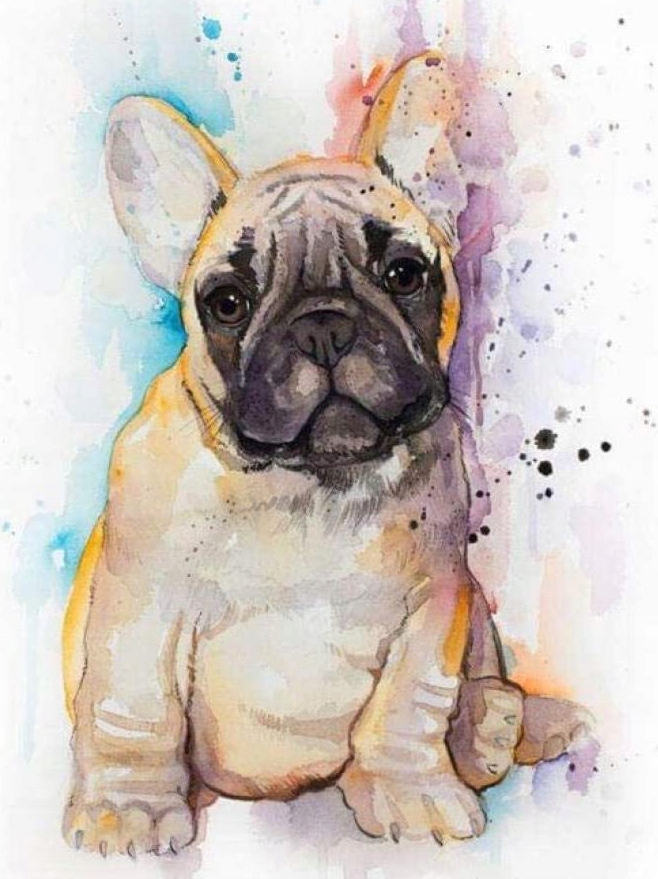 

Obraz Malowanie Po Numerach Na Krośnie