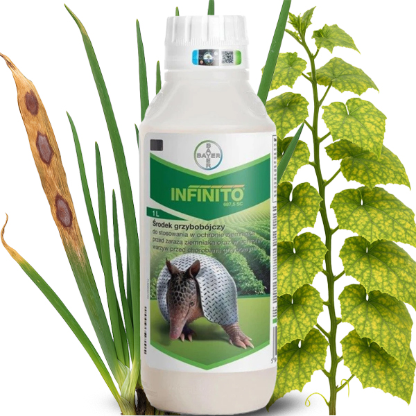 Oprysk Gryzbobójczy Na Mączniaka Rzekomego Alternariozę Infinito 687.5EC 1L