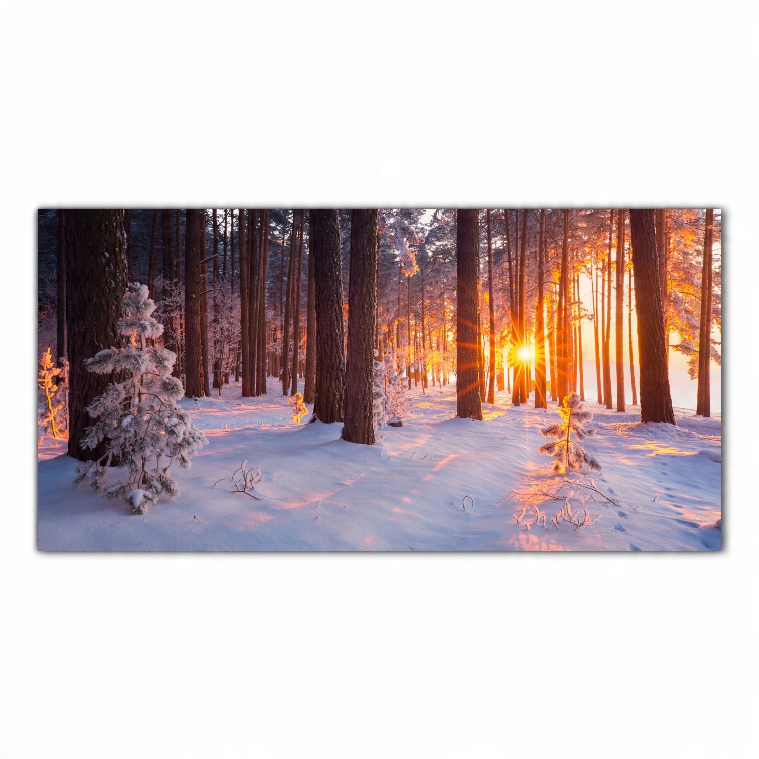 

Obraz na szkle Foto Zima Śnieg Krajobraz 140x70
