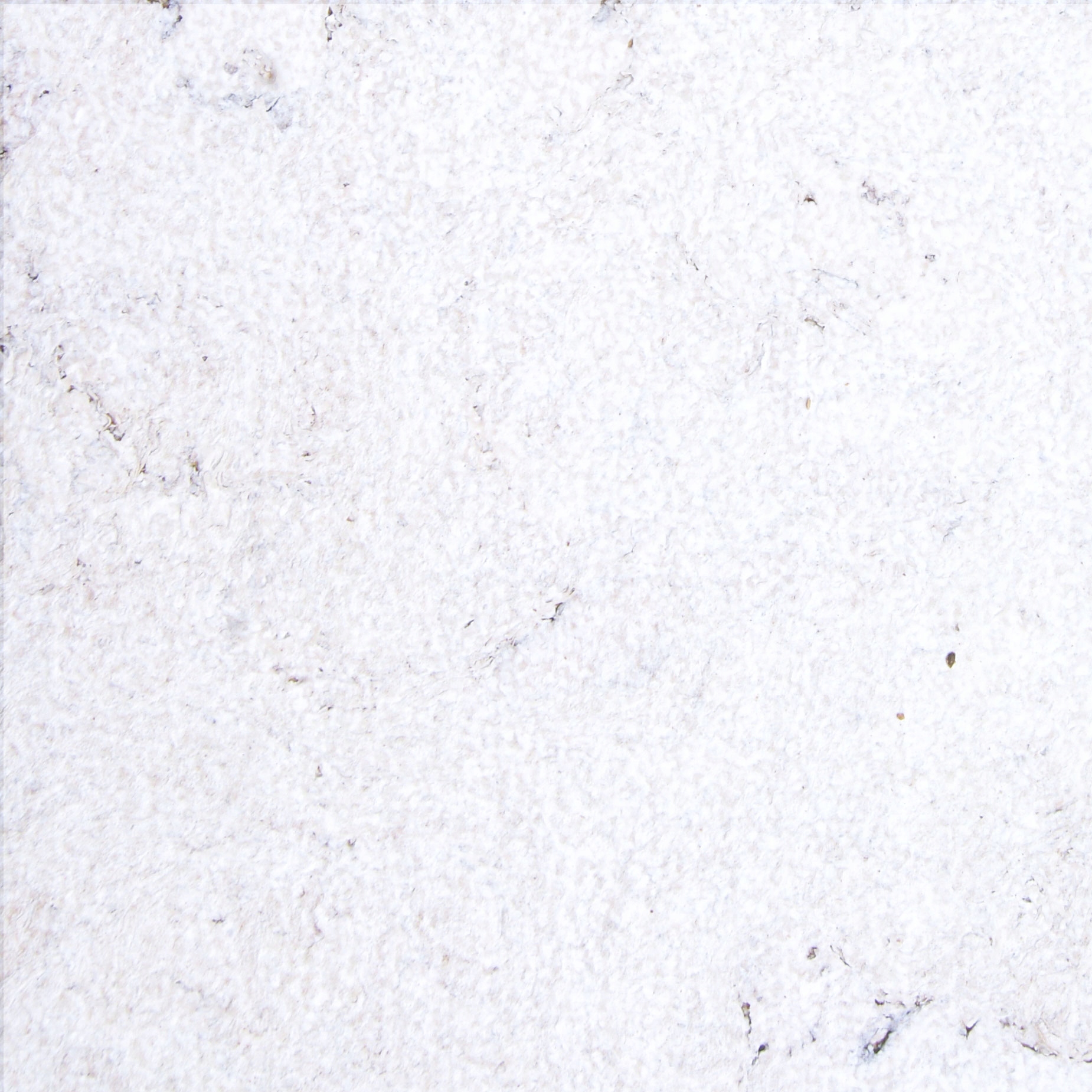 KOREK NA ŚCIANĘ korek ścienny, korek DEKO Śnieg