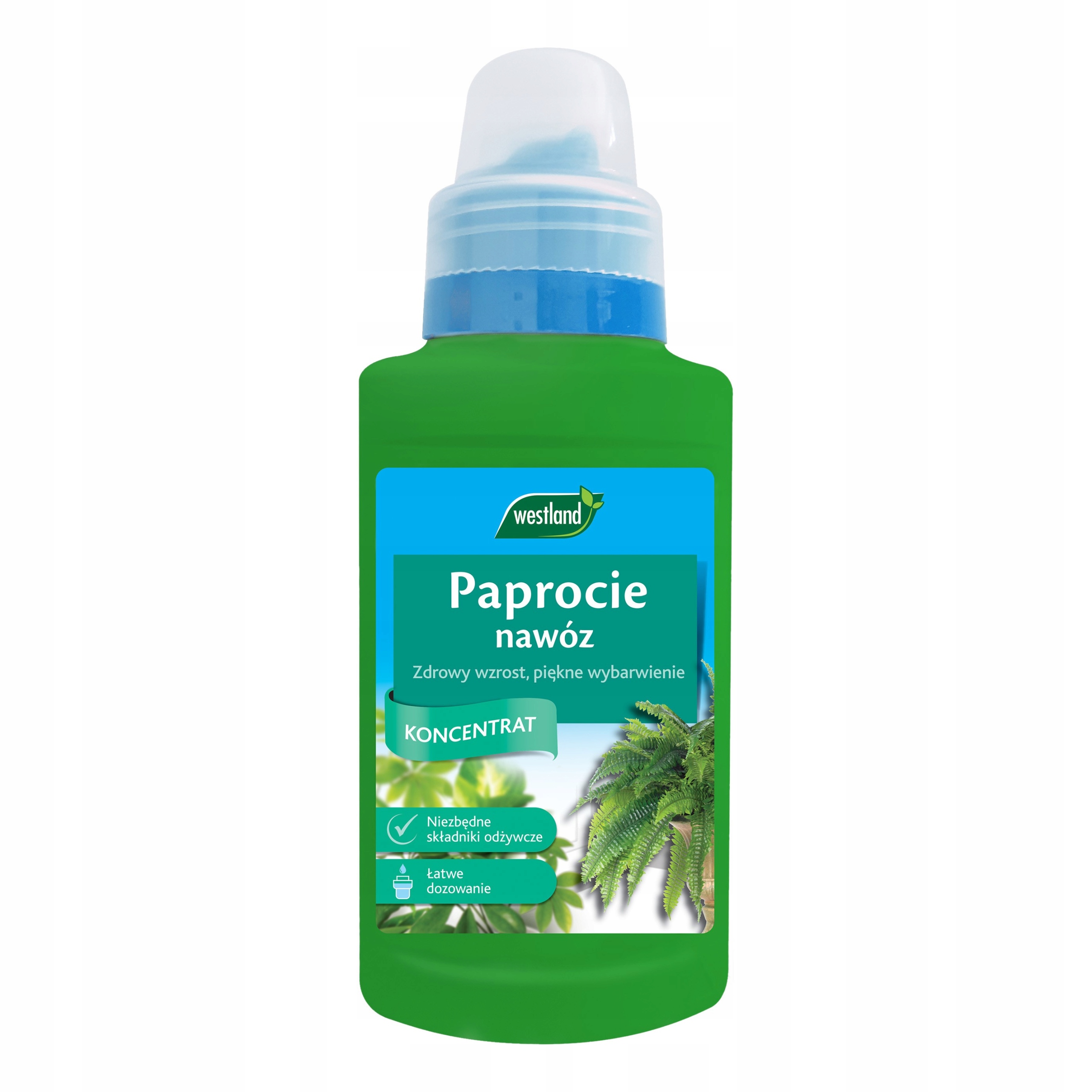 

Nawóz w płynie do Paproci 250 ml