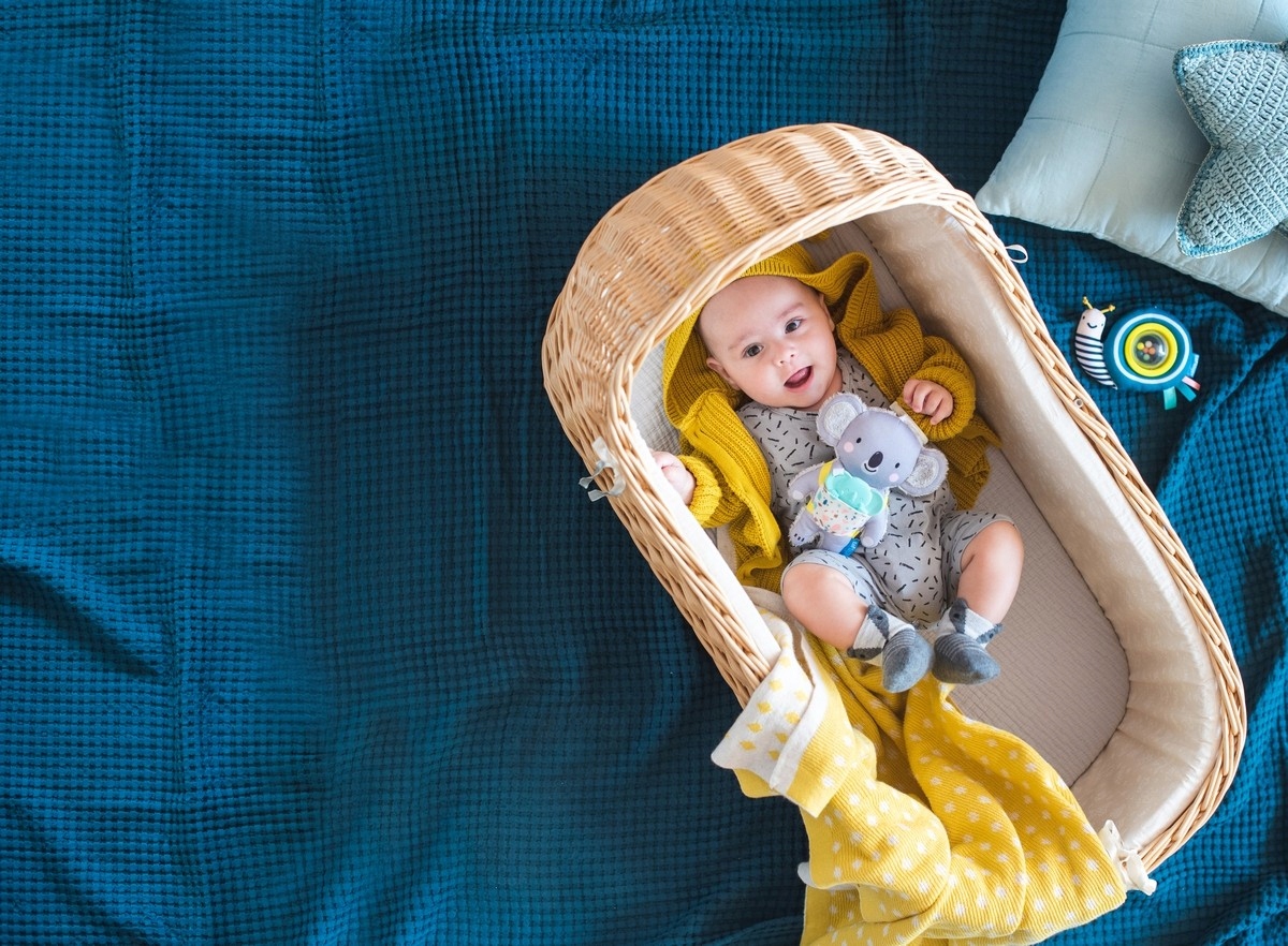 Zawieszka z gryzakiem Koala Kimmy 0m+ TAF TOYS Bohater / Bajka brak