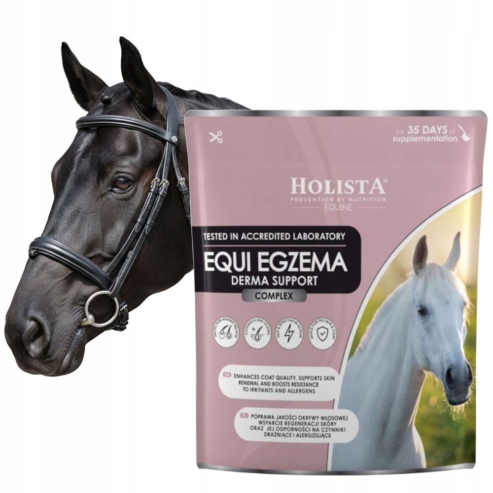 Holistaequine Equi Ekzém Derma Support 1000g Alergie Kůže A Koňský Sirén
