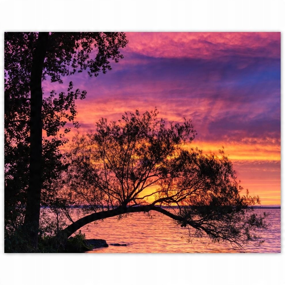 

Plakat 50x40 Jezioro Drzewo Zachód