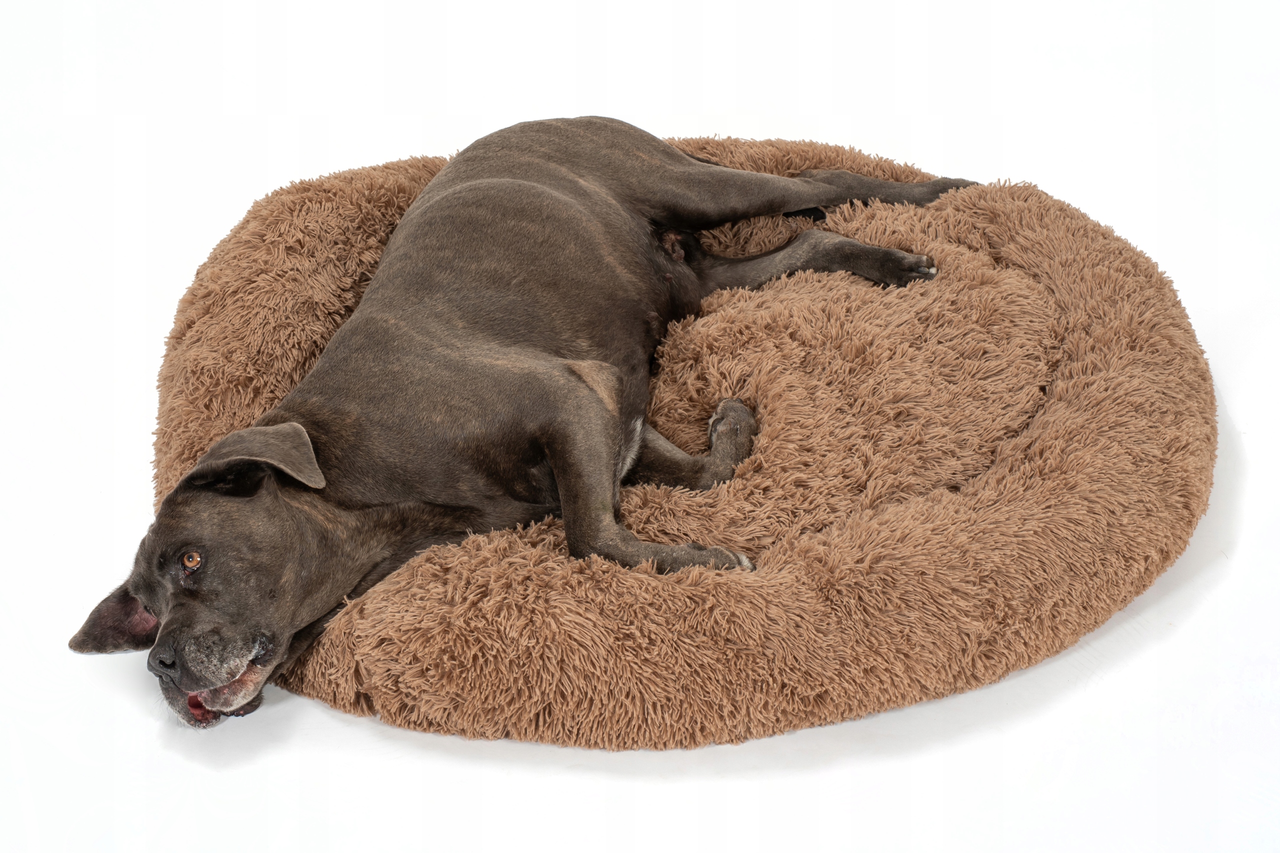 Levně Legowisko Dla Psa Kota PJ-012 Brown XL