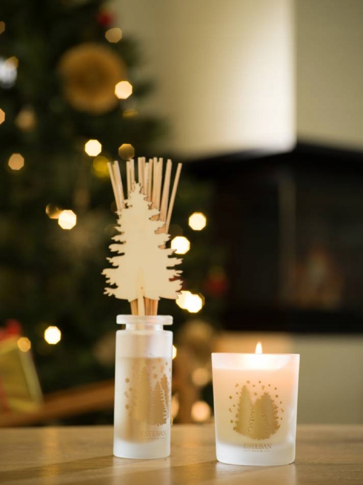 DYFUZOR ZAPACHOWY 100 ml Around the fireplace Esteban Stan opakowania oryginalne