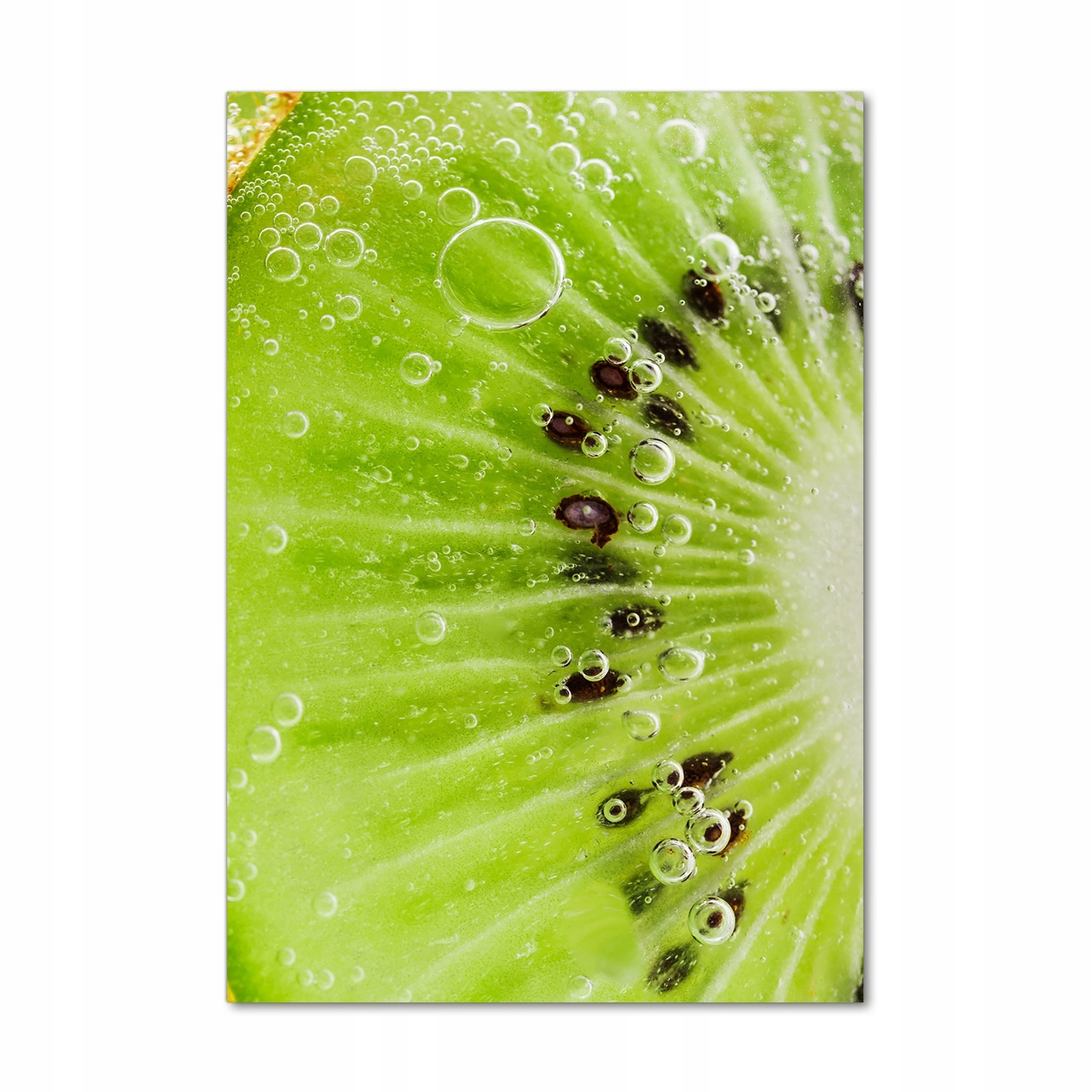 

Nowoczesny foto obraz na ścianę Kiwi 70x100 cm