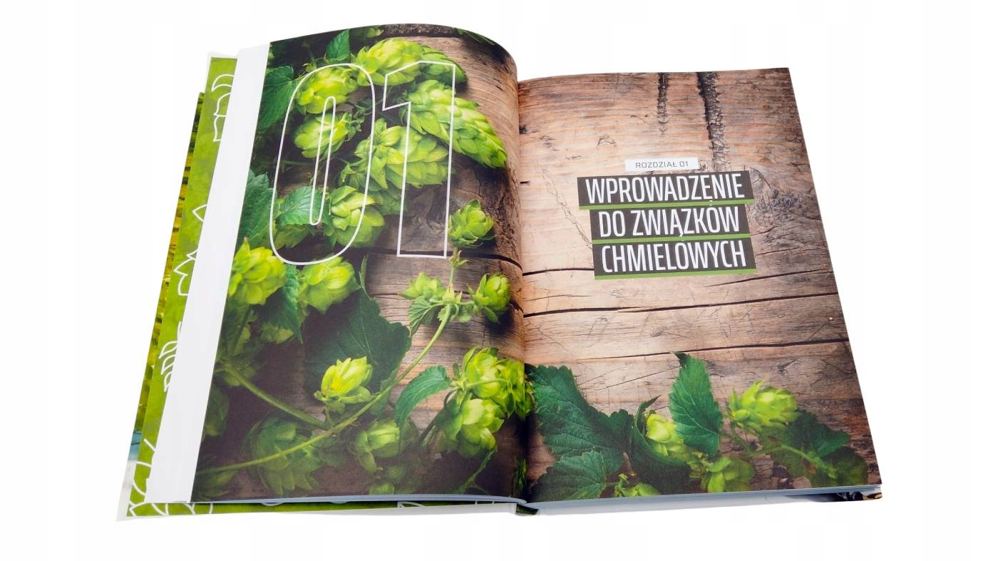 IPA NOWE PODEJŚCIE. Naukowy przewodnik Rok wydania 2022