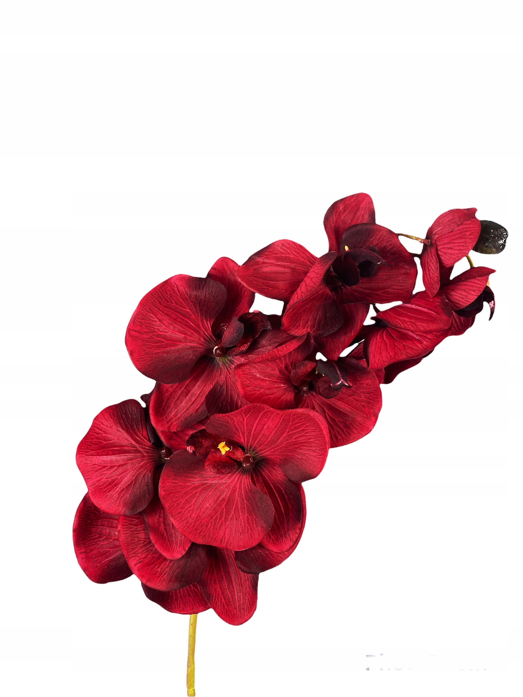 

Storczyk Bordowy Orchidea Sztuczne Kwiaty Gałązka