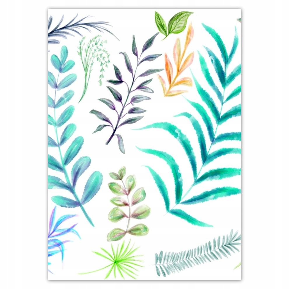 

Naklejki 50x70 Tropikalne zestawienie