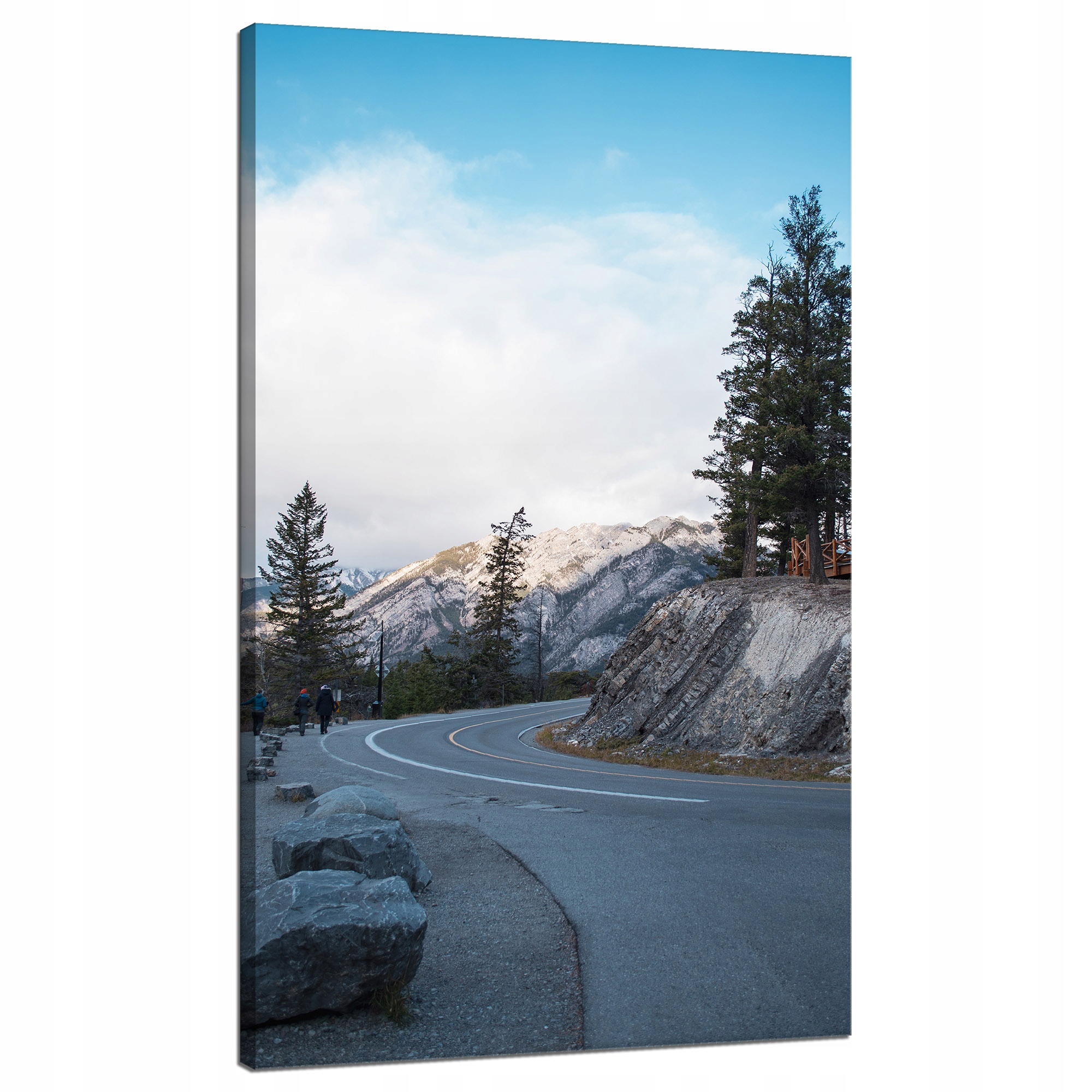 Obraz Canvas Příroda Cesta přes hory 70x120 cm