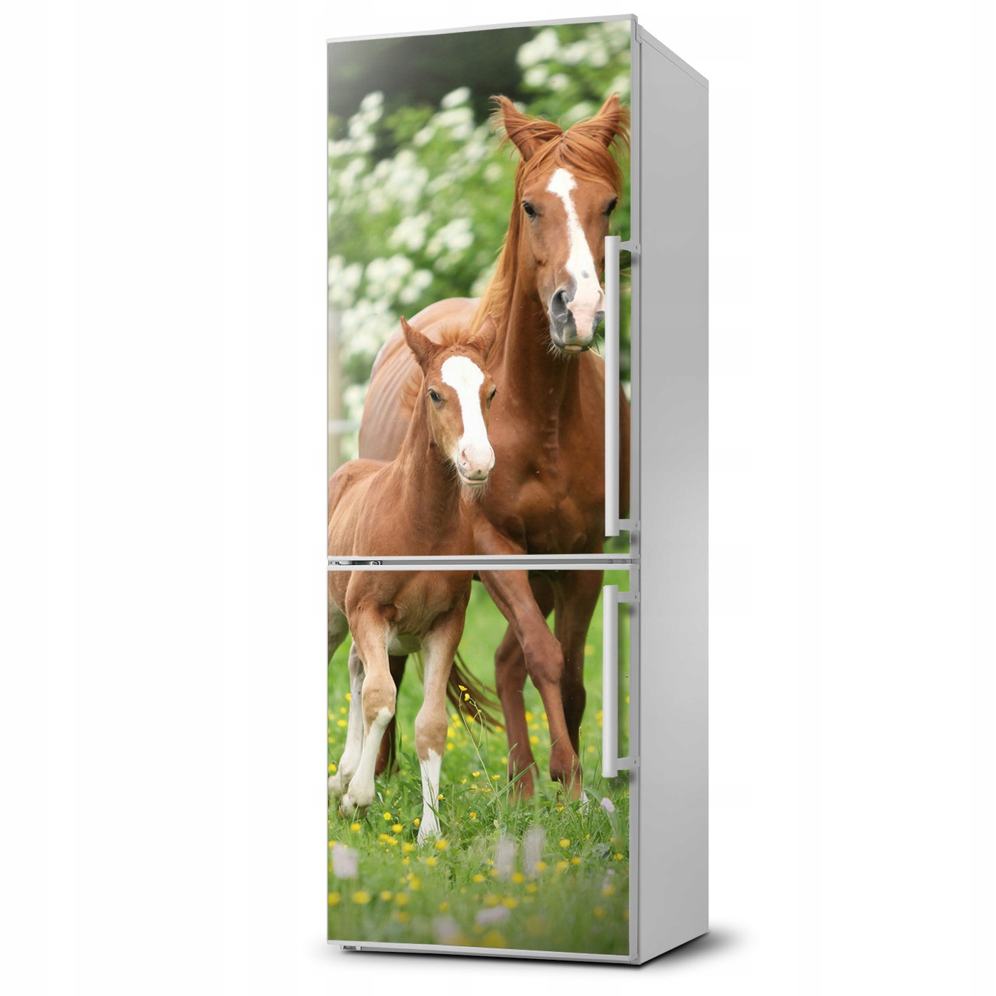 

Naklejka Magnes na lodówkę Klacz i źrebię 60x180