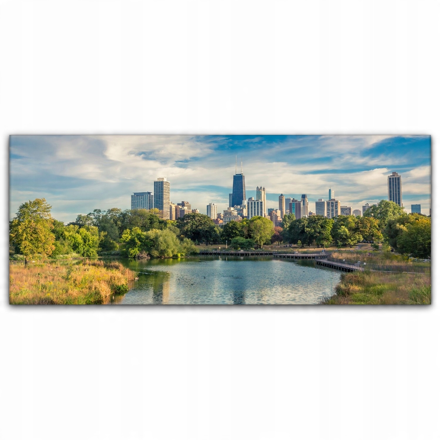 

Obraz na płótnie z foto 125x50 Chicago Miasto Usa