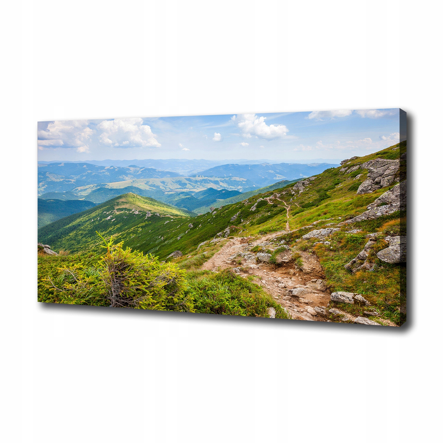 

Foto obraz na płótnie Zielone wzgórza 100x50 cm