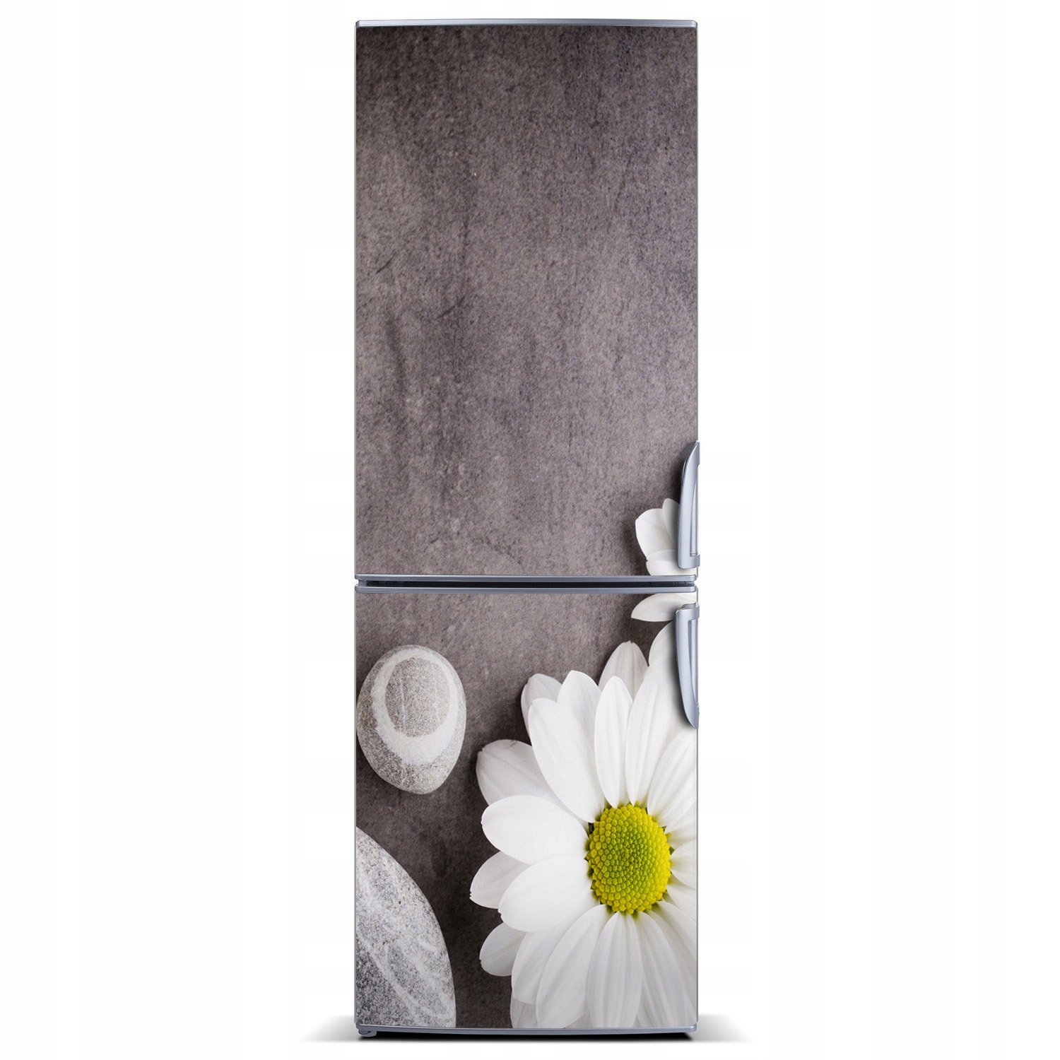 

Naklejka Magnes Magnes na lodówkę Gerbera 60x180