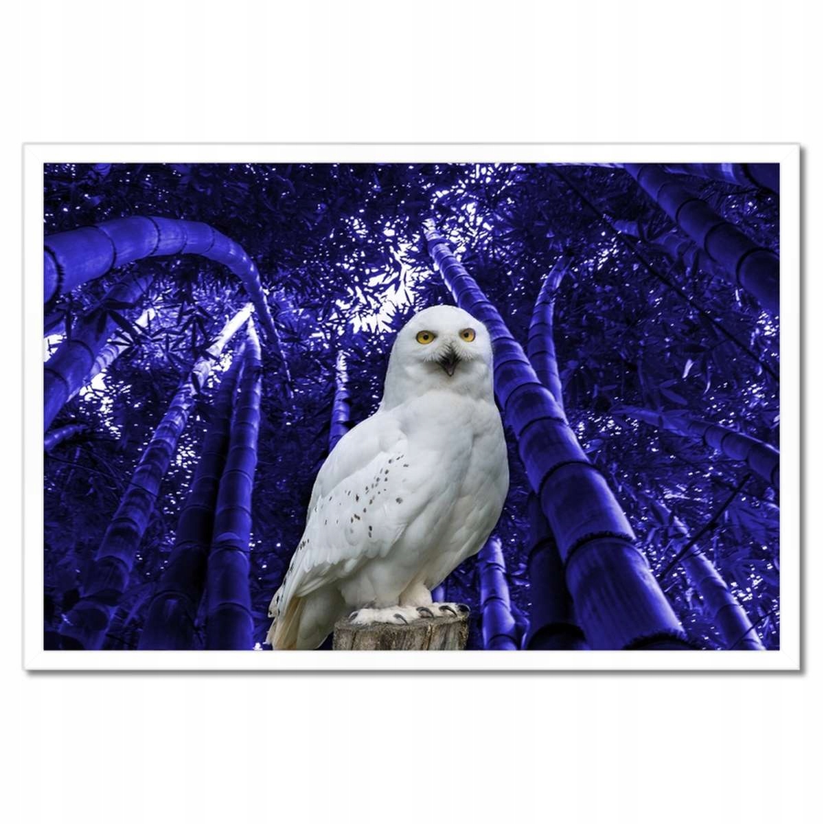 Plakáty v rámu 60x40 Lovec na stanici Sova