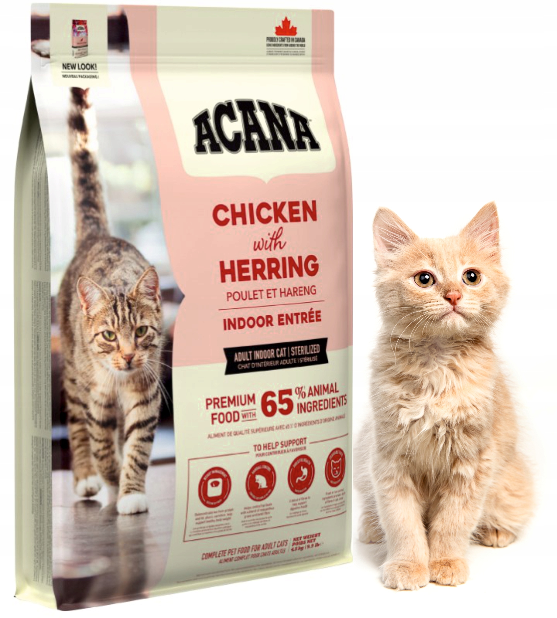 Acana Cat Indoor Entrée sucha karma dla kota 4,5 kg