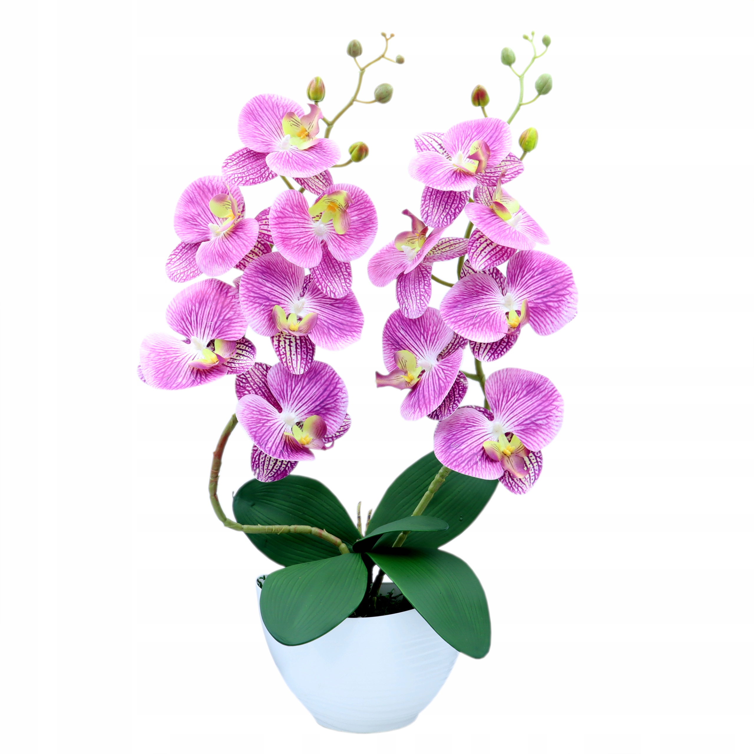 

Storczyk sztuczny 2 pędy 62cm Fioletowy Maranta