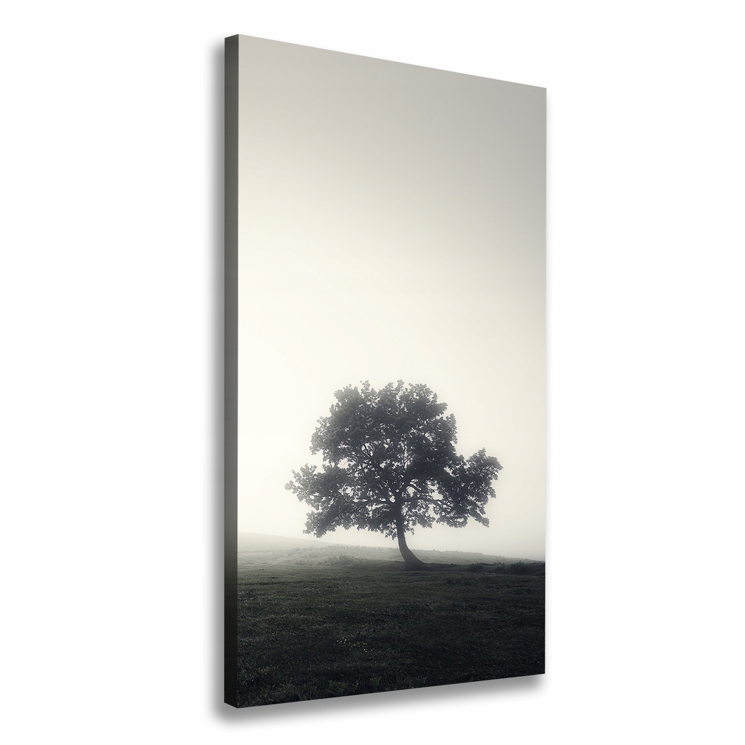 

Foto obraz na płótnie Drzewo we mgle 50x100 cm