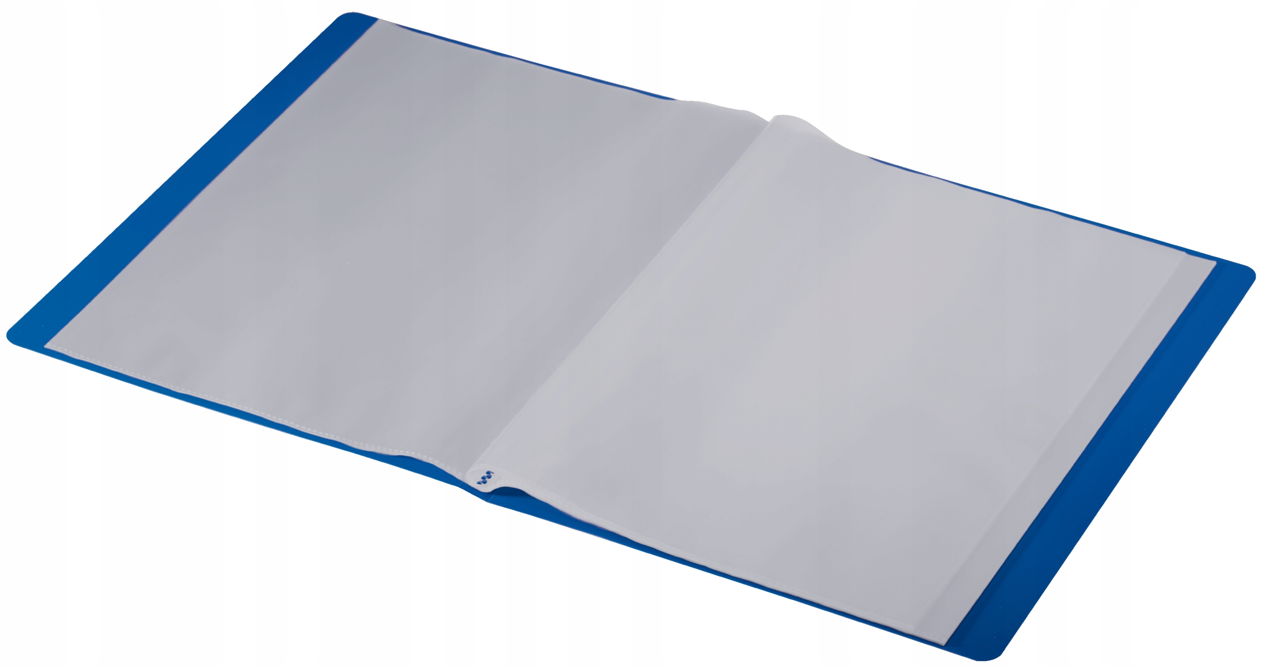 Album ofertowy A4 Leitz 20 koszulek eko recykling niebieski Marka Leitz