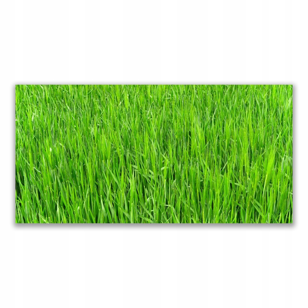 

Obraz akrylowy 120x60 Zielona Trawa Natura Murawa