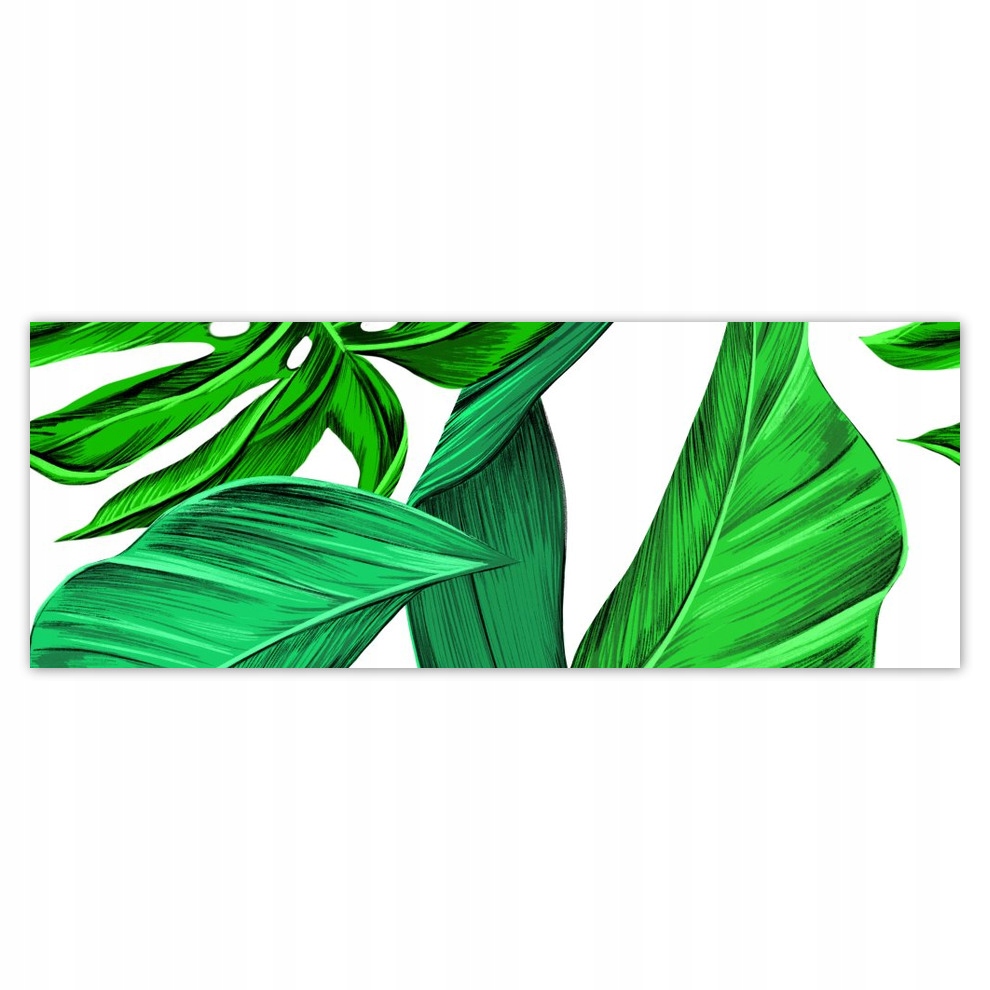 

Fototapety flizelina 250x93 Monstera Tropiki