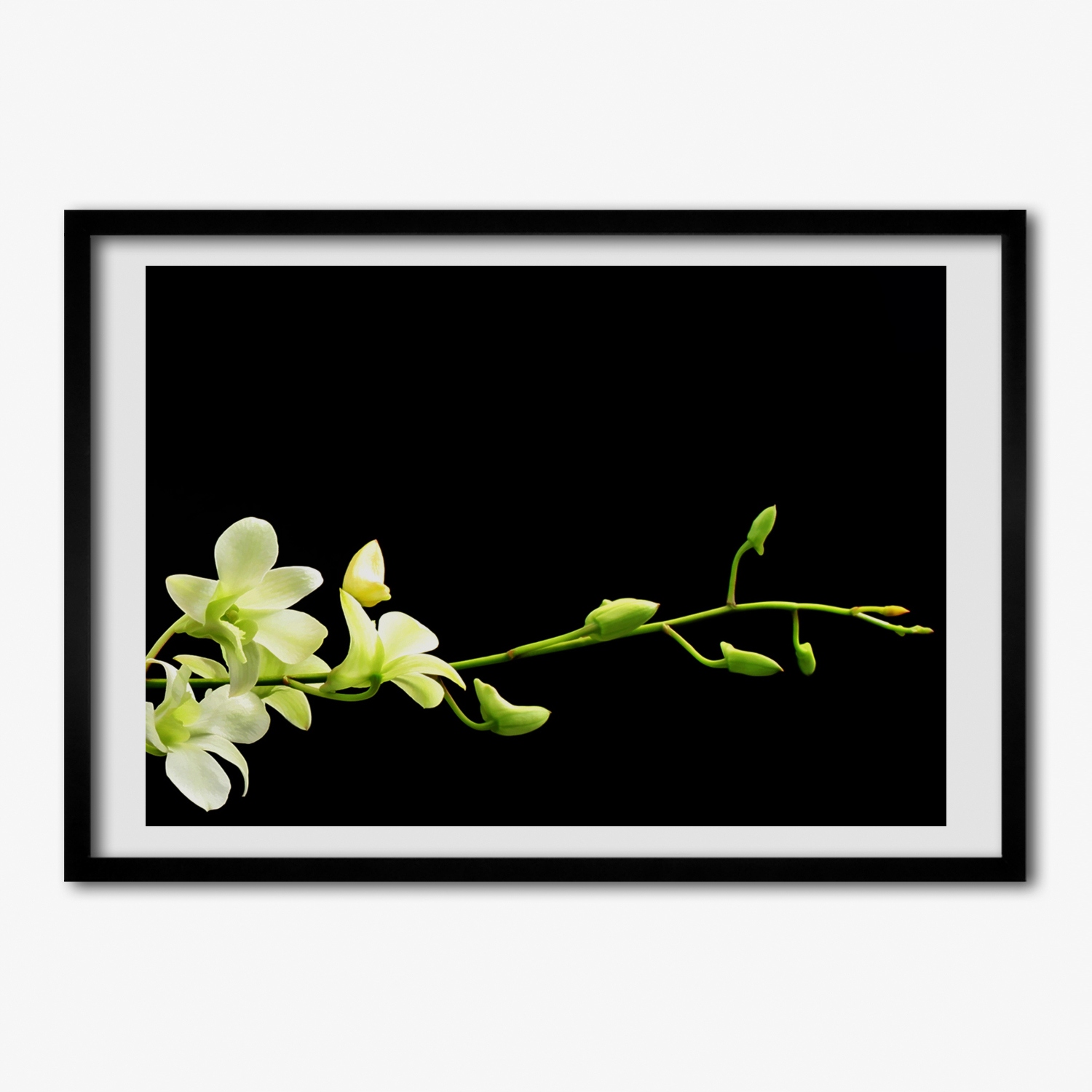 Moderní fotoobraz s Mdf rámečkem Orchidej 70x50