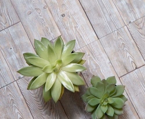 SAMOPRZYLEPNE PŁYTKI PODŁOGOWE DĄB RUSTYKALNY PCV Kolekcja d-c-floor