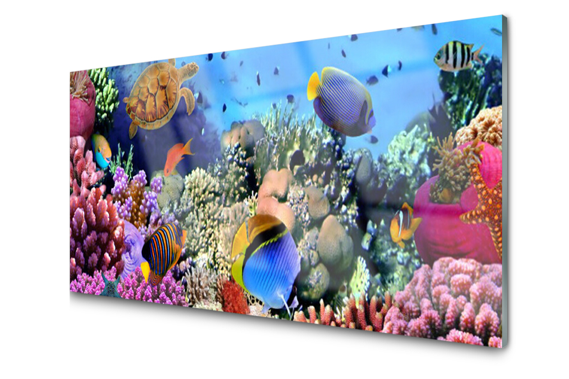 

Panel szklany dekor Rafa Koralowa 140x70 + Klej