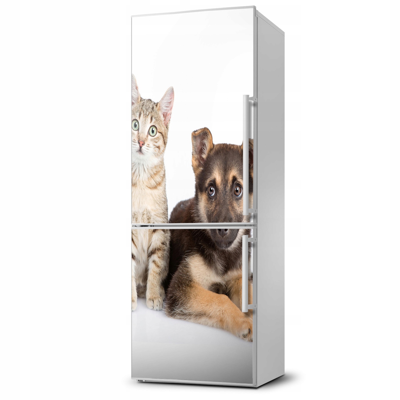 

Mata magnetyczna na lodówkę Pies i kot 60x180