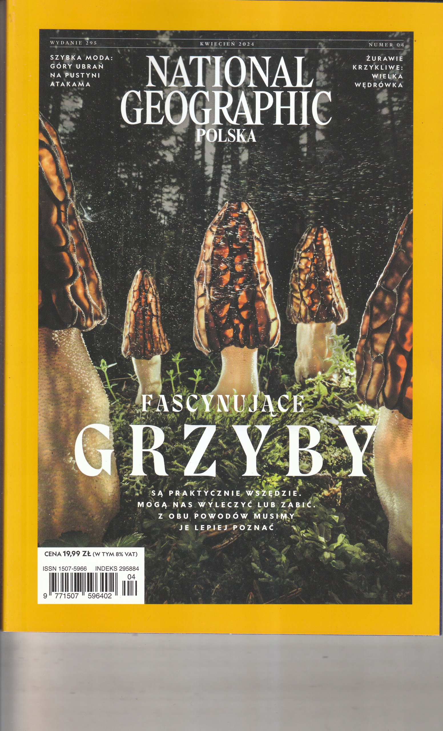 National Geographic 4/2024 PL