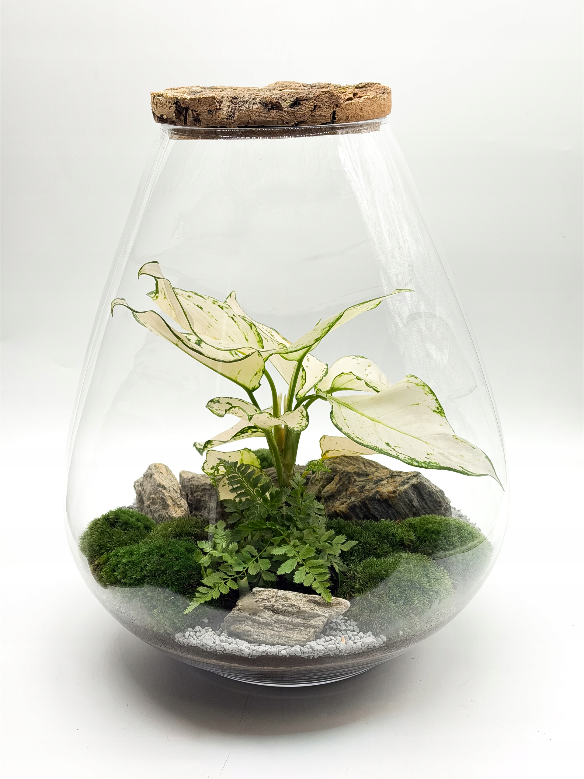 Les ve skle XXL 40 cm – hotová kompozice