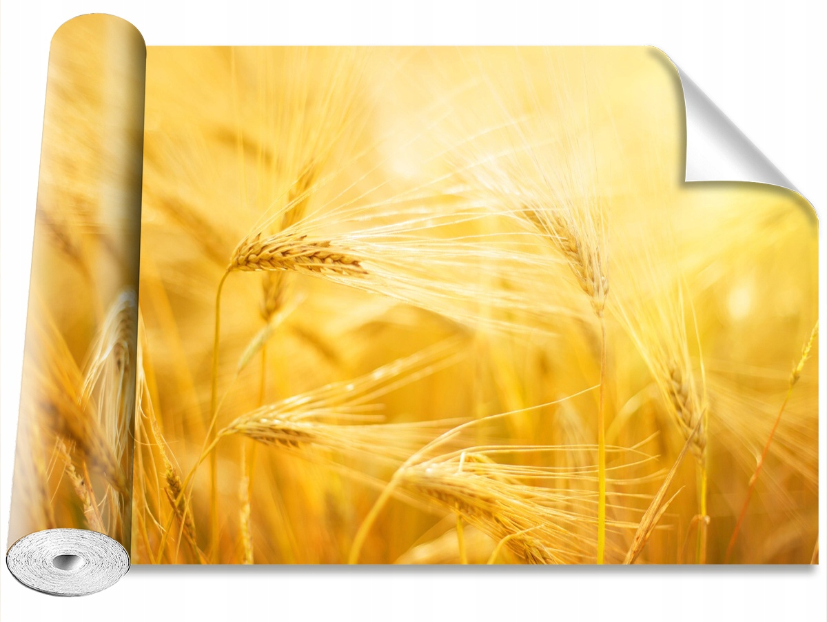 

Tapeta Samoprzylepna Pole pszenicy 104x70