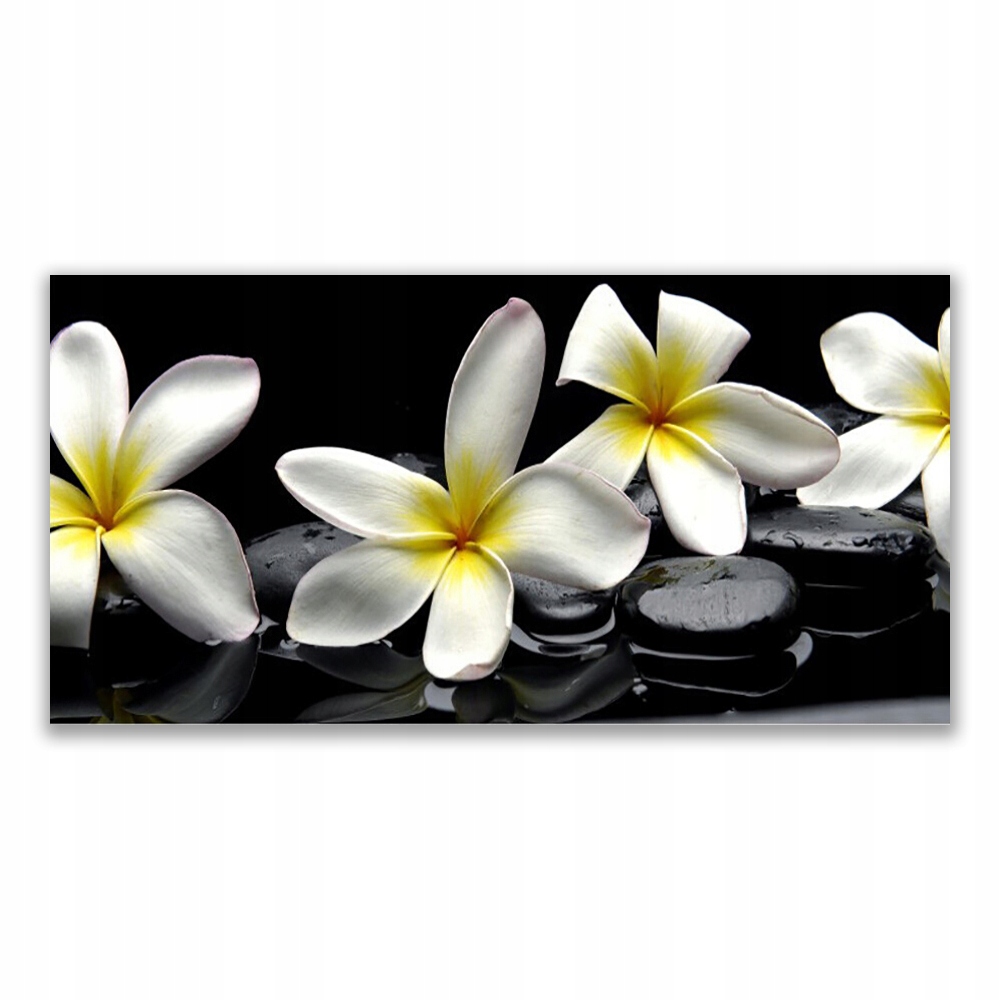 

Fotoobraz z nadrukiem 120x60 Piękny Kwiat Plumeria