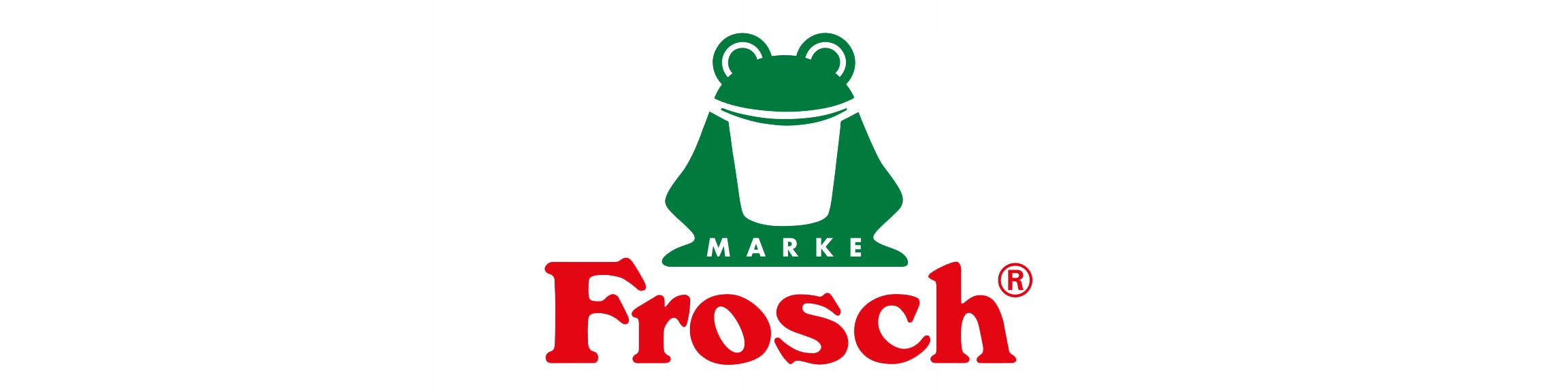 FROSCH BABY ODPLAMIACZ do ubranek dziecięcych 0,5l Typ odplamiacz