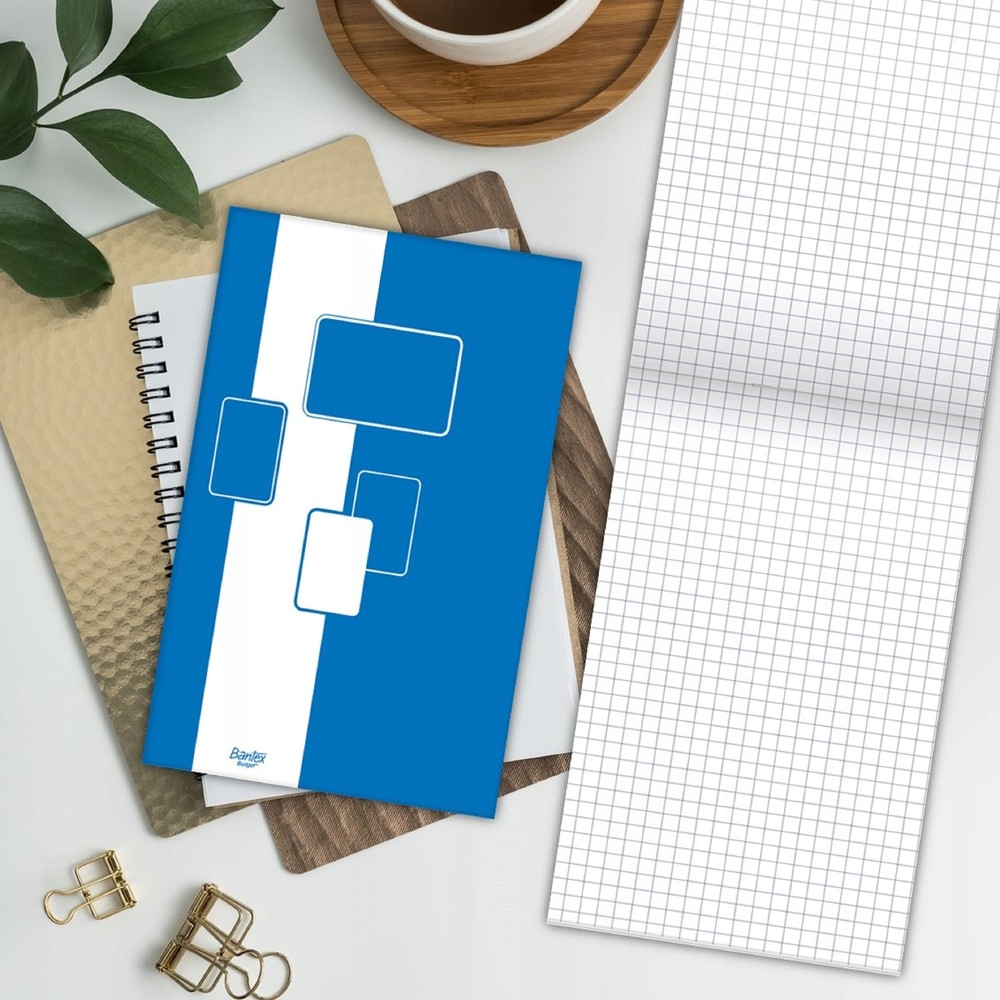 BLOK BIUROWY BANTEX BUDGET A4/100K KRATKA Rodzaj szkicownik