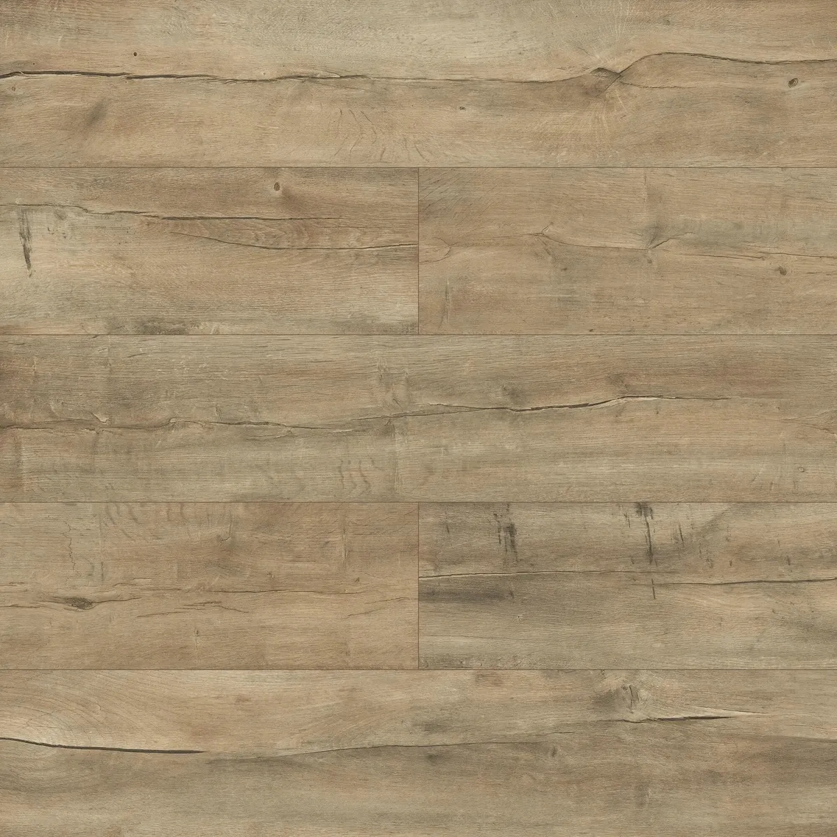 Panele podłogowe laminowane Dąb Sodova AC6 10 mm Promo Flooring