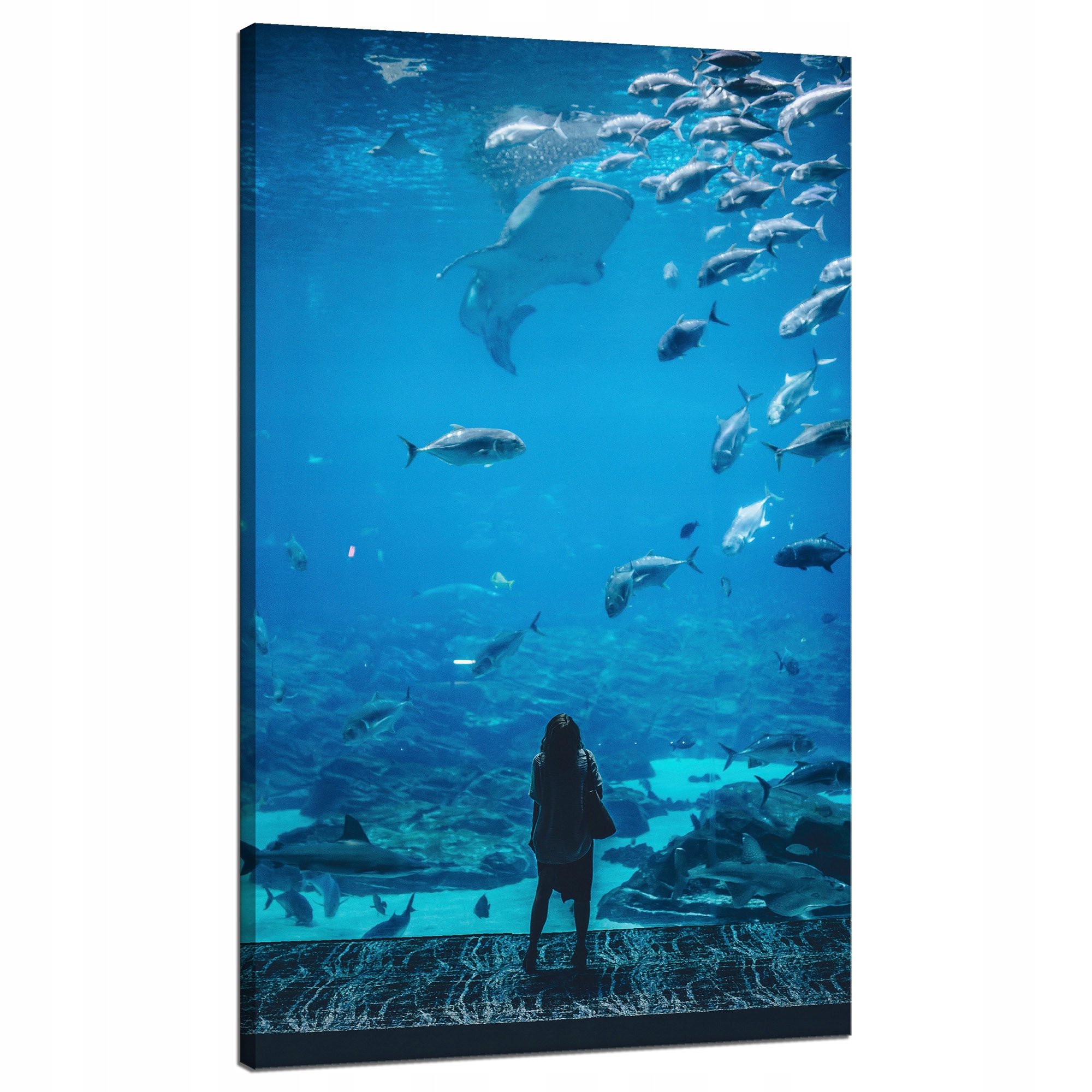 Obraz na plátně Lidé Akvárium Voda Mořský oceán Život 70x120 cm